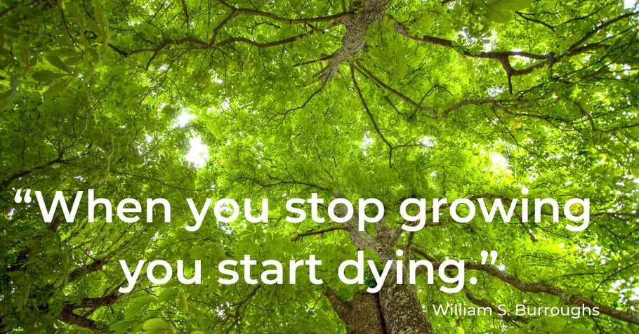 green-tree-canopy-quote-growing-dying-william-s-burroughs