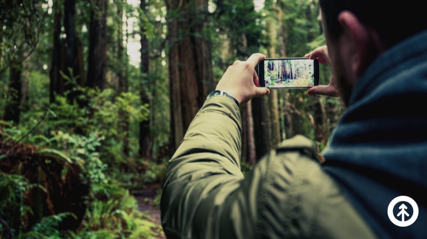 A man taking a photograph of the forest with a smartphone. 