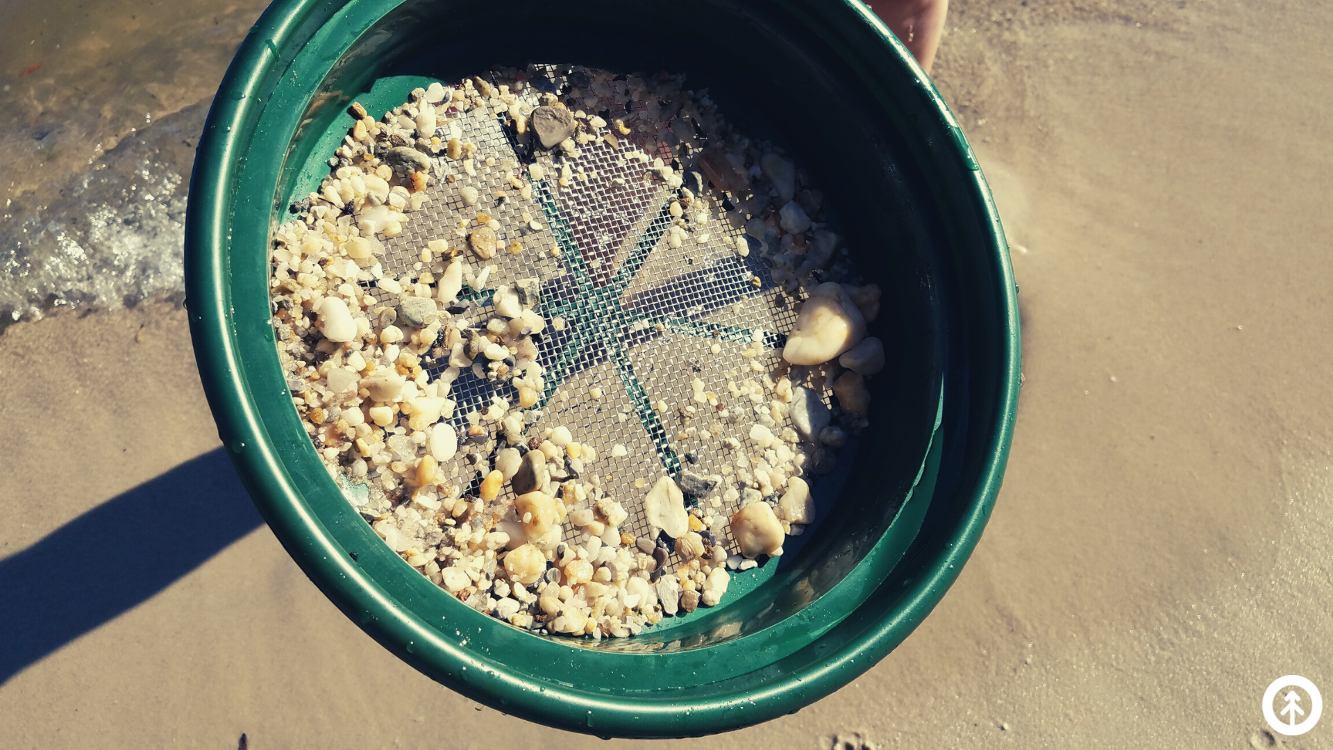 A beachcomber holding a sieve containing sand and a collection of small seashells.