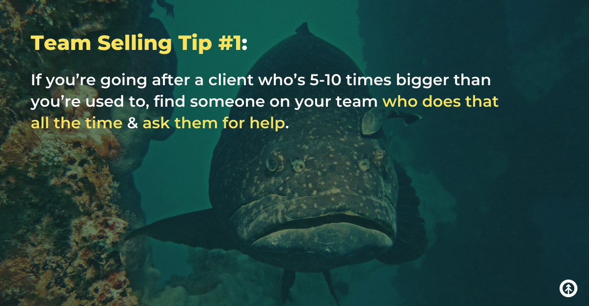 A giant grouper off the coast of Florida with a quote from Growth Marketing Firm. 