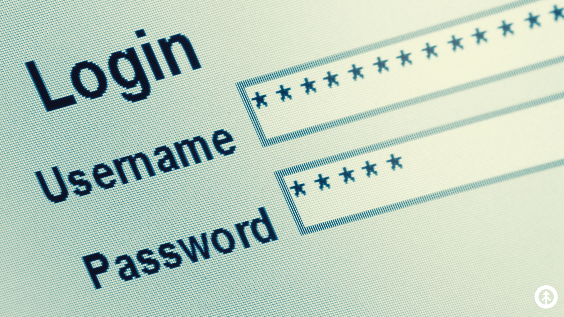 A closeup view of a website login screen with the username and password hidden. 