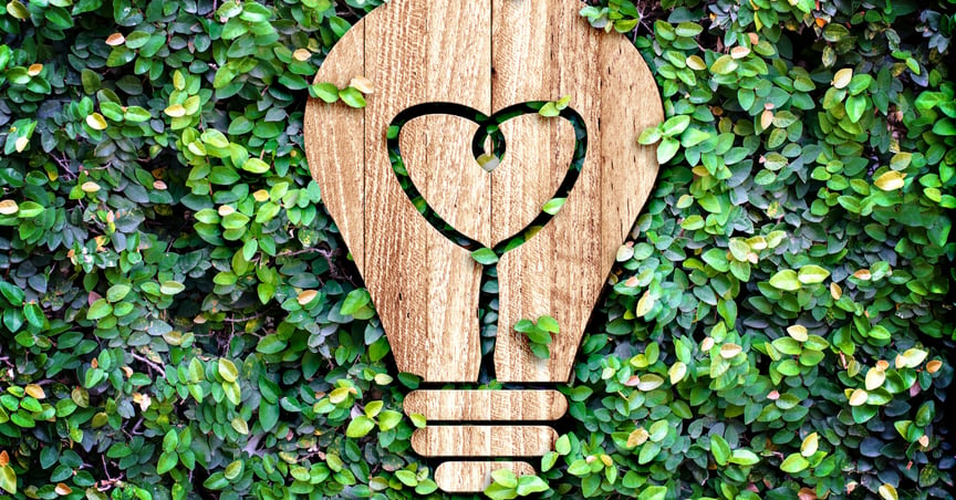 A wooden cutout image of a lightbulb on a bed of green ivy
