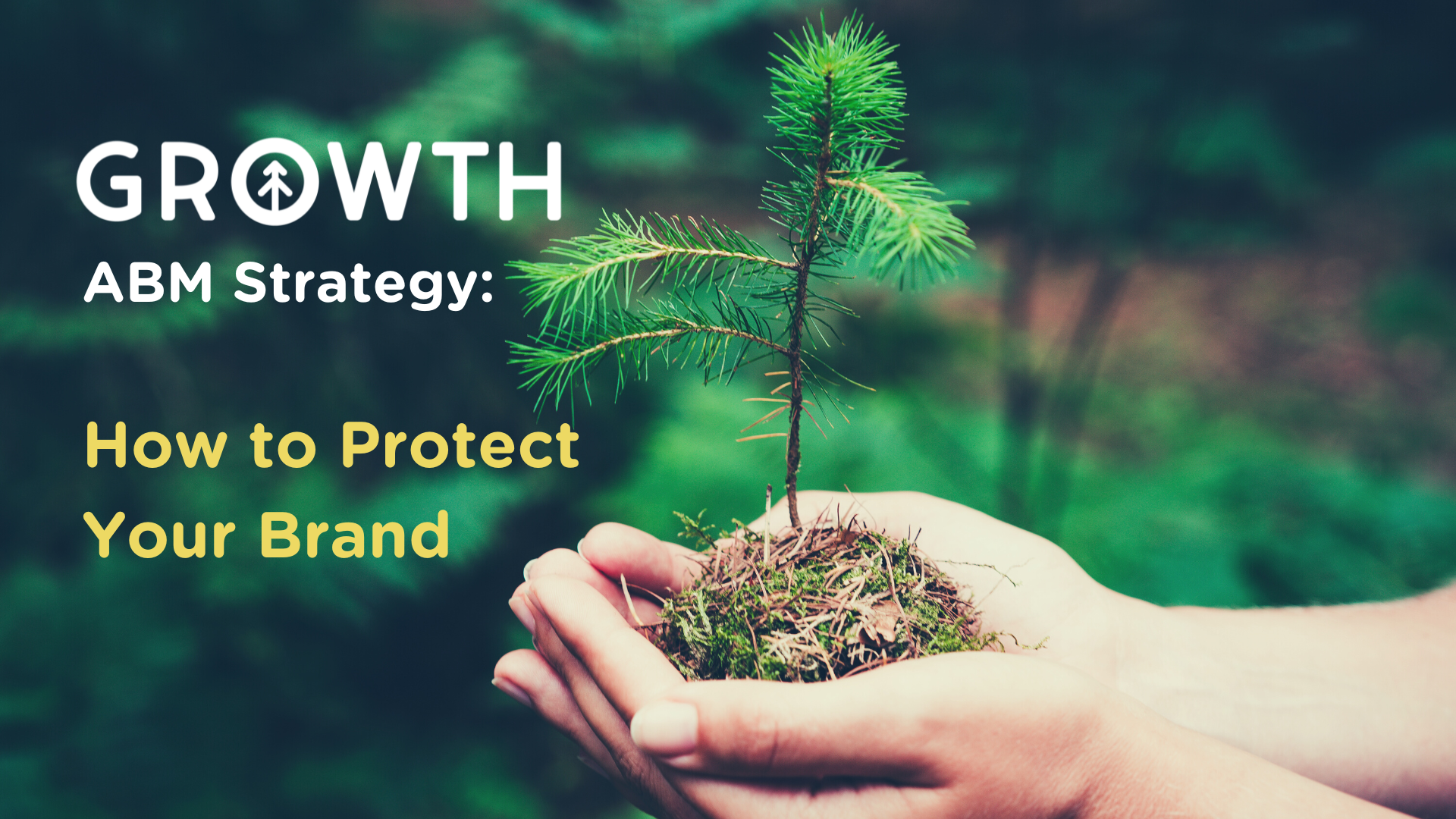 ABM Strategy: 5 Tips for Protecting Your Brand