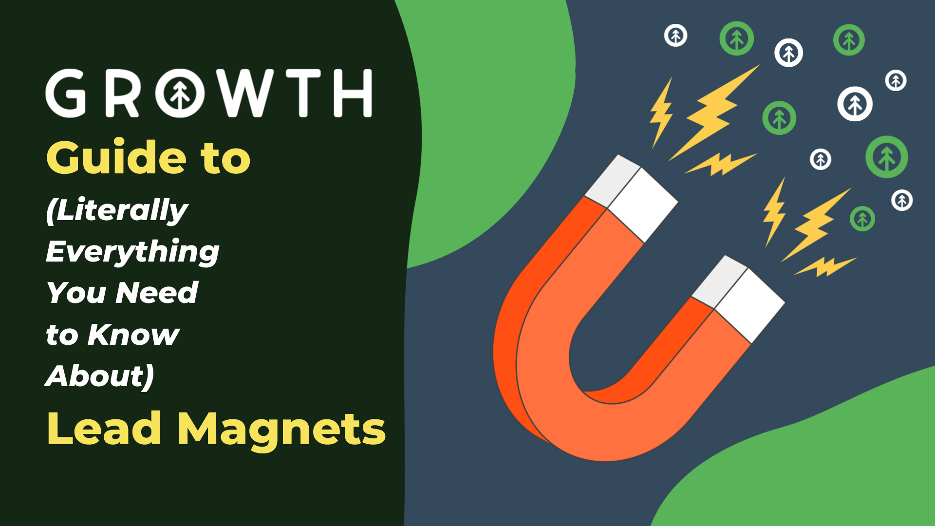 The Growth Guide to Lead Magnets