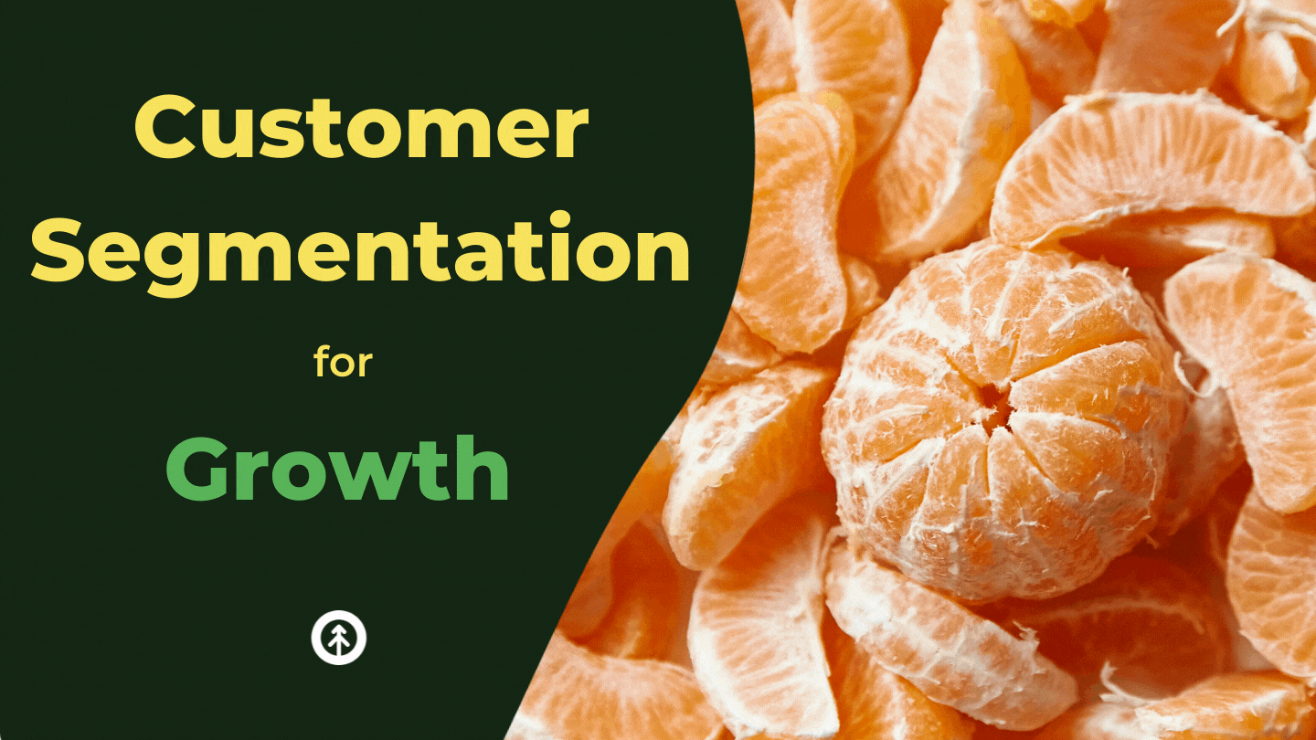 Customer Segmentation Strategies for Growth